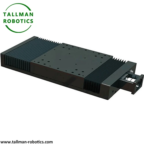 Heavy Duty Linear Module